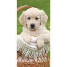 JERRY FABRICS Serviette de bain Chien Chiot Dog