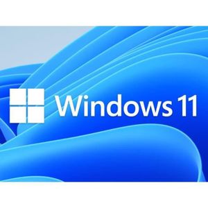 SYST EXPLOIT À TÉLÉCHARGER Microsoft Windows 11 Pro - 1 PC - Clé d'Activation