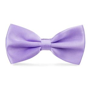 Ecravate Noeud papillon homme Parme tweed chiné
