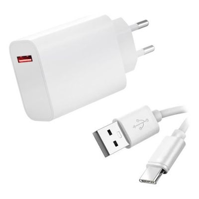 Adaptateur Secteur USB pour Apple iPad mini 4 - A1584 Prise Chargeur USB 1A
