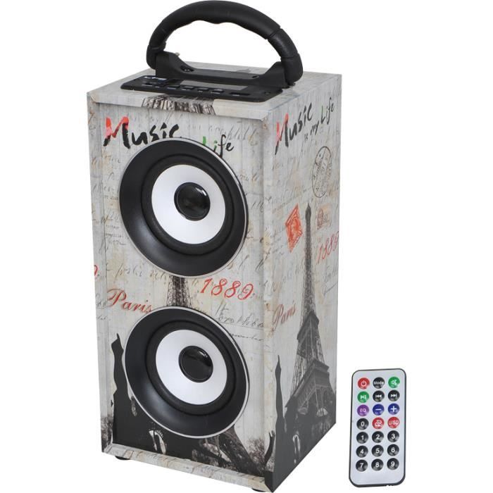 ENCEINTE AMPLIFIEE BATTERIE USB BLUETOOTH SD MP3 TUNER FM FREESOUND-PARIS PA SONO DJ LED