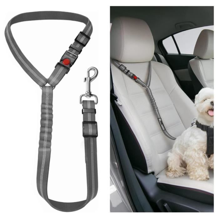 Ceinture Securite Chien Voiture Attache Harnais Voiture Chien