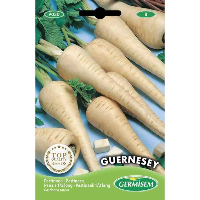Graines de Panais demi-long de Guernesey