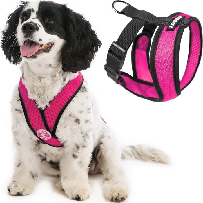 Gooby comfort x head in harnais pour chien de petite taille anti