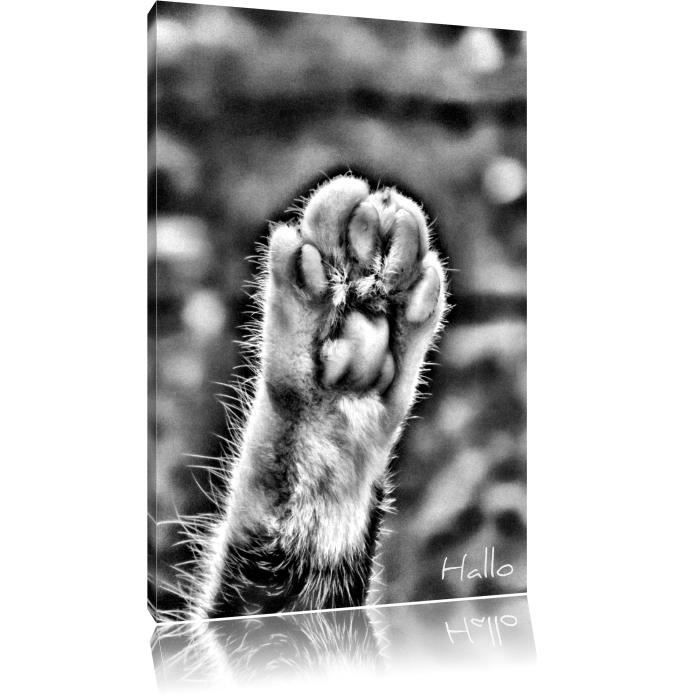 Monocrome Petite Patte De Chat Taille 100x70 Sur Toile Xxl Enormes Photos Completement Encadrees Avec Civiere Imprime Art Cdiscount Maison