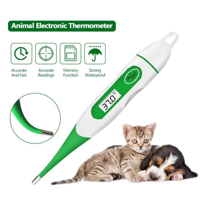 Thermomètre numérique pour animaux de compagnie Thermomètre