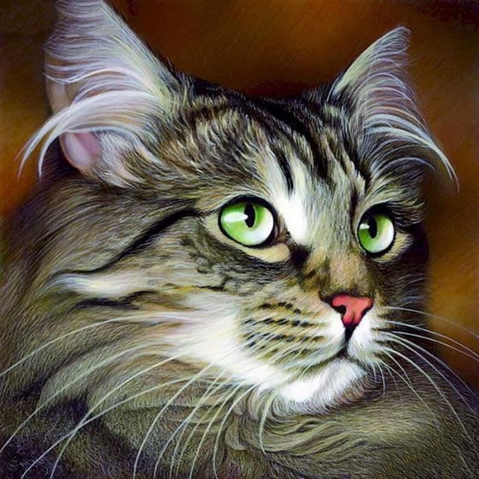 Kit Peinture Par Numéros Chat Avec Cadre Bois 20x30 Cm – Idéal Pour Adultes Débutants – Loisir Créatif Et Anti-stress