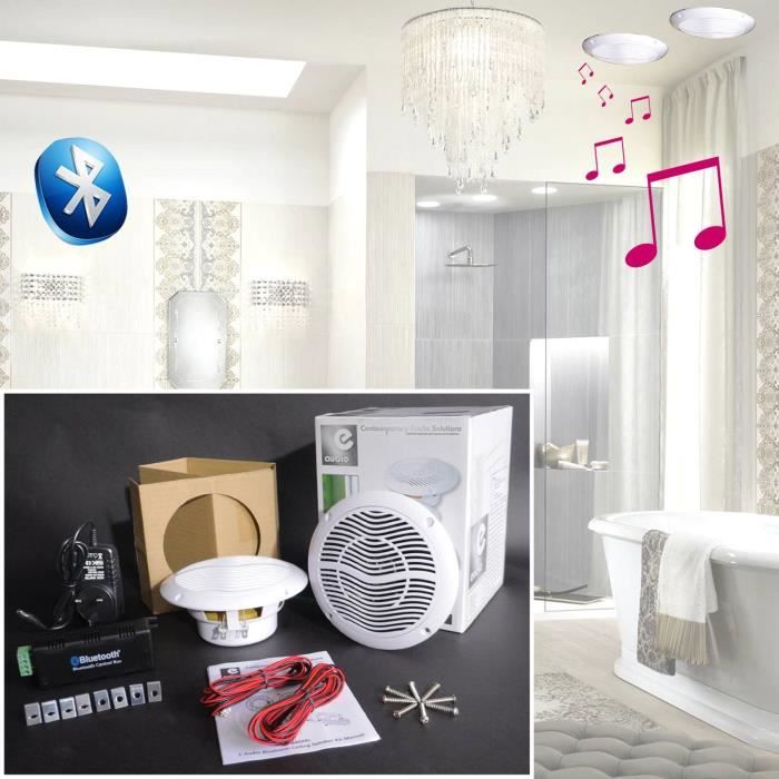 Enceinte Plafond Bluetooth Achat Vente Pas Cher