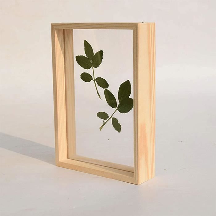 Cadre photo en bois pour certificat et spécimen de plante herbier - Marron - 8 pouces