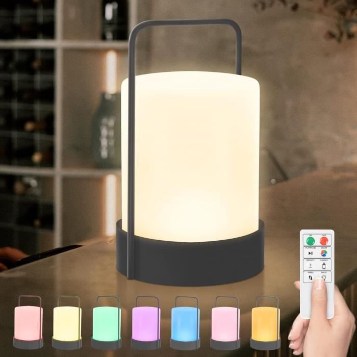 Lampe De Travail LED Rechargeable ROBERLO 65759 – Portable, 300g, Finition Carrosserie