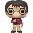 Figurine Funko Pop! Harry Potter: Harry Potter Anniversary - Harry w/The Stone-1