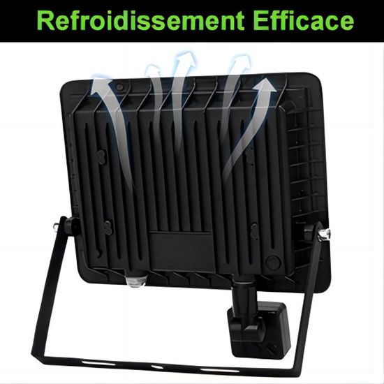 Projecteur Extérieur 30W Avec Détecteur De Mouvement - LED 6500K Blanc Froid 2700LM - Étanche IP66 Pour Jardin, Garage
