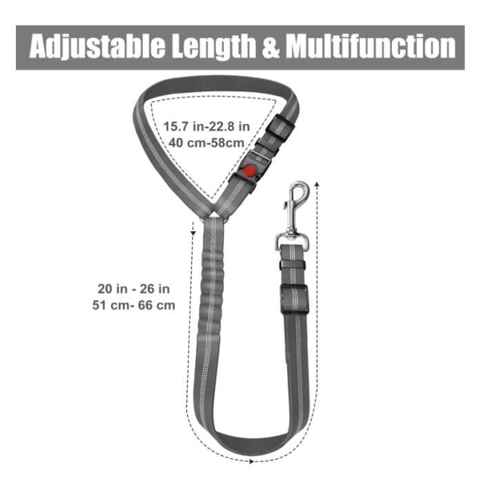 Just Pet Zone - Ceinture De Sécurité Pour Chien En Voiture, Lot De 2, Réglable 53-74 Cm, Attache 360° - Sécurité Routière Chiot