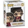 Figurine Funko Pop! Harry Potter: Harry Potter Anniversary - Harry w/The Stone-2