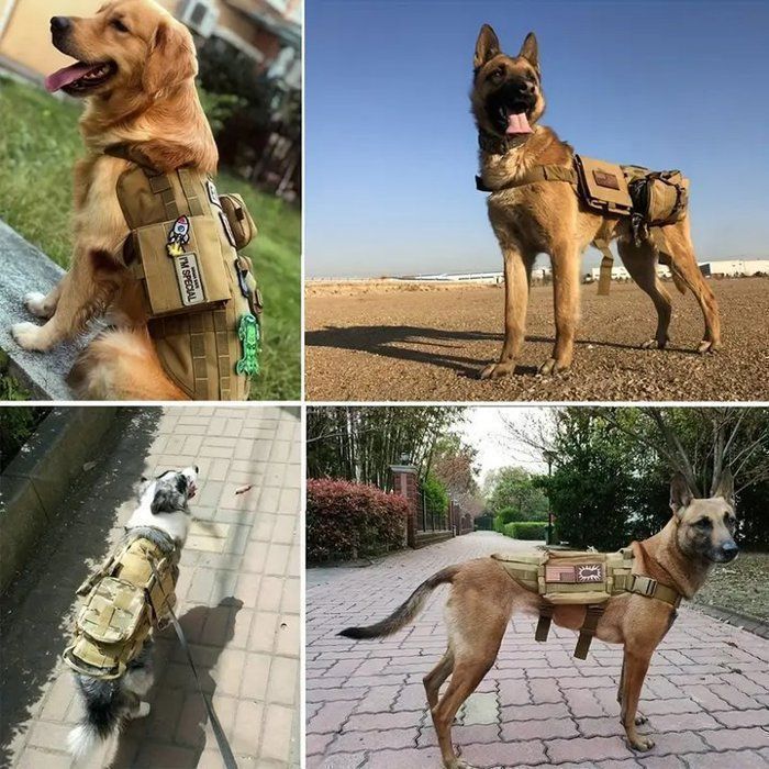 Gilet à Pointes Réfléchissant Pour Chien - Style Coyote Vest, Harnais De Protection, Neuf