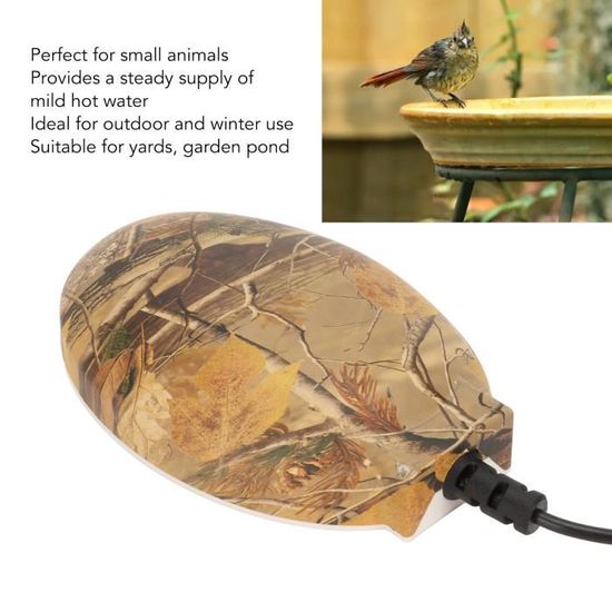 Abreuvoir Pour Oiseaux Debout - Résistant Au Gel Pour Jardin Et Balcon