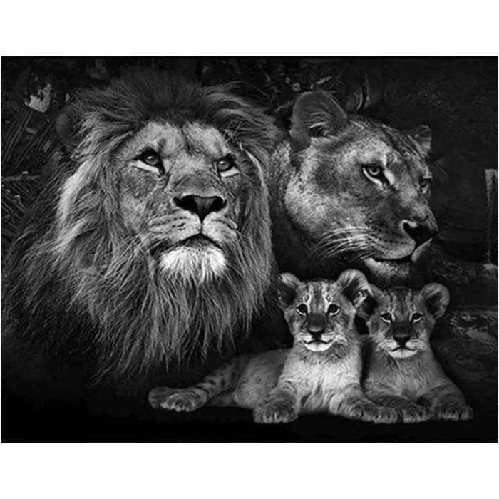 DCIDBEI Diamond Painting Quadrato 40x50 Cm – Kit Completo Con Tela Occhio Rosa, Candele E Universo