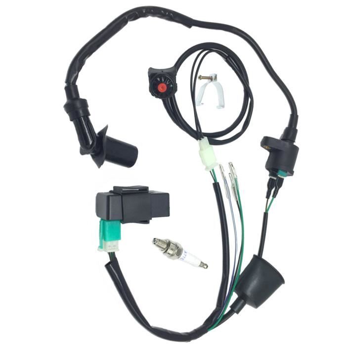 Ashata Faisceau De Câblage De Bobine D'allumage CDI Faisceau De Câblage