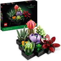 Lego - Icons Les Succulentes Plantes Artificielles d'Intérieure - Noir - Collection Botanique Adultes