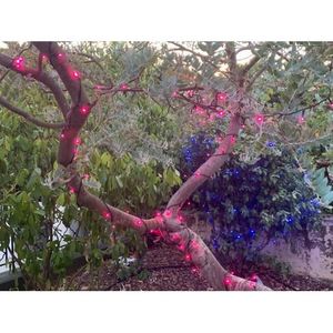 Guirlande 240 Led Achat Vente Pas Cher