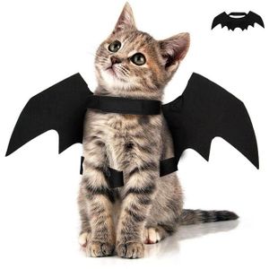Costume Chauve Souris Cdiscount