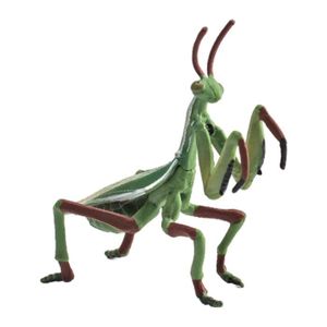 FIGURINE - PERSONNAGE Collection de Modèles D'insectes Miniatures Figurine D'action de Jouet Congnitif pour Les Tout-petits 10x8.5cm Shiwaki