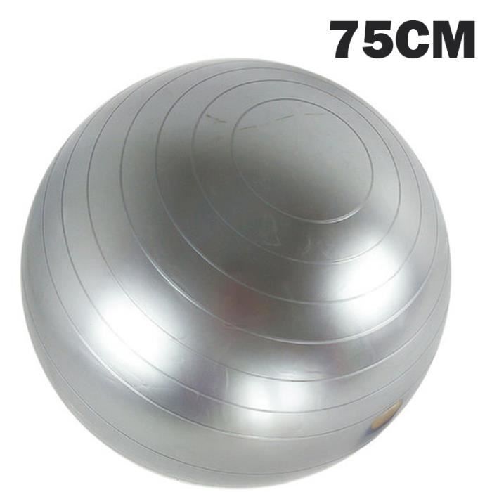 Balle de Yoga sportive Pola Pilates Fitness Balance Fitball exercice exercice Pilates balle de Massage 75 CM gris