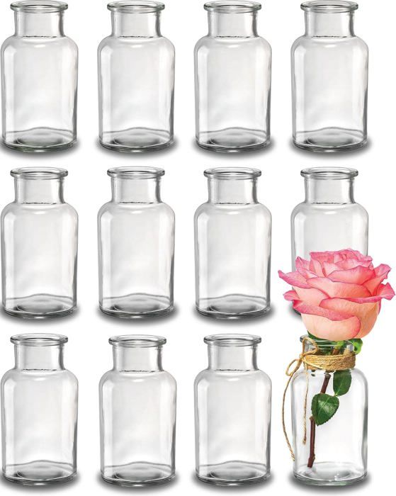 Casavetro Lot de 6 petits vases en verre transparent avec