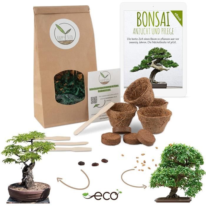 Bonsai Starter Kit avec eBook GRATUIT - Bonzai set avec pots de