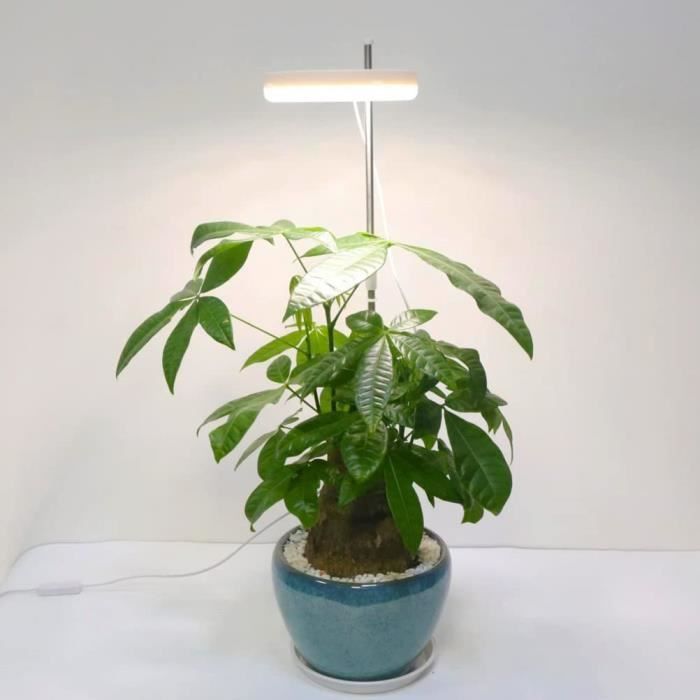 Lampe pour Plantes Interieur, Lampe de Plante, Lampes de Croissance pour la  lumière des Plantes d'intérieur avec minuterie 3- A648 - Cdiscount Jardin