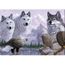 Broderie Diamant Kit Complet Loup Et Aigle Peinturepar Numero Peinture En Diamant 5d Diy Point De Croix Arts Craft Supp Achat Vente Tableau Toile Cdiscount