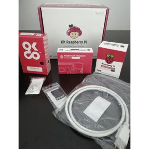 CARTE MÈRE Starter Kit Raspberry Pi 4 2GB
