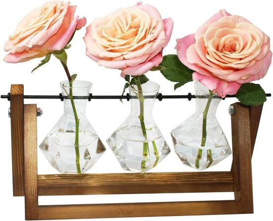 Terrarium De Plantes En Verre De Bureau - VGEBY - Tube à Essai - Blanc