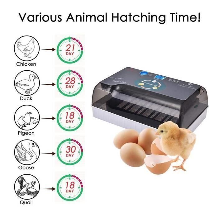 Yangbaga Incubateur d'œufs automatique - Eclairage dirigé - Fonction de rotation automatique