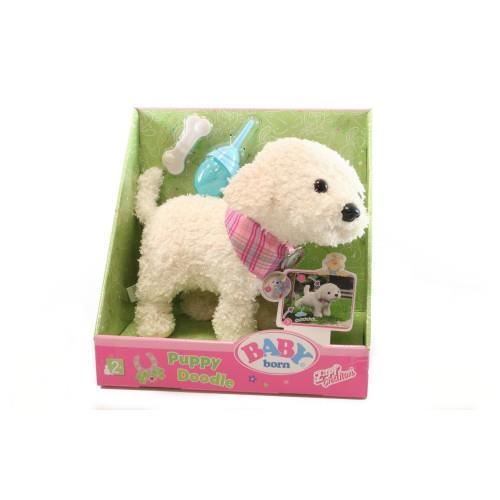 Chien baby born