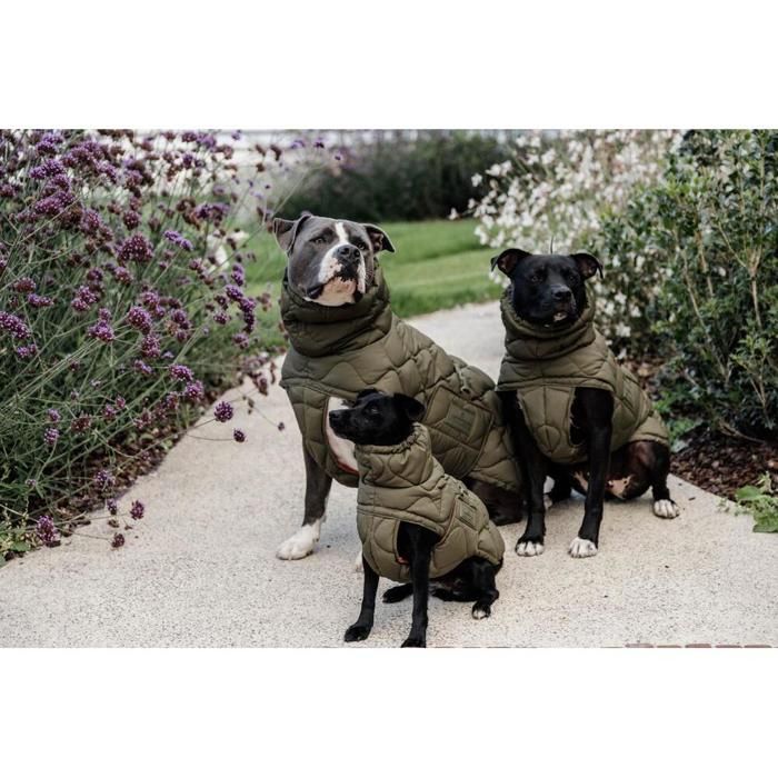 Meilleurs prix pour Manteau pour chien Kentucky Pina - Vert - S