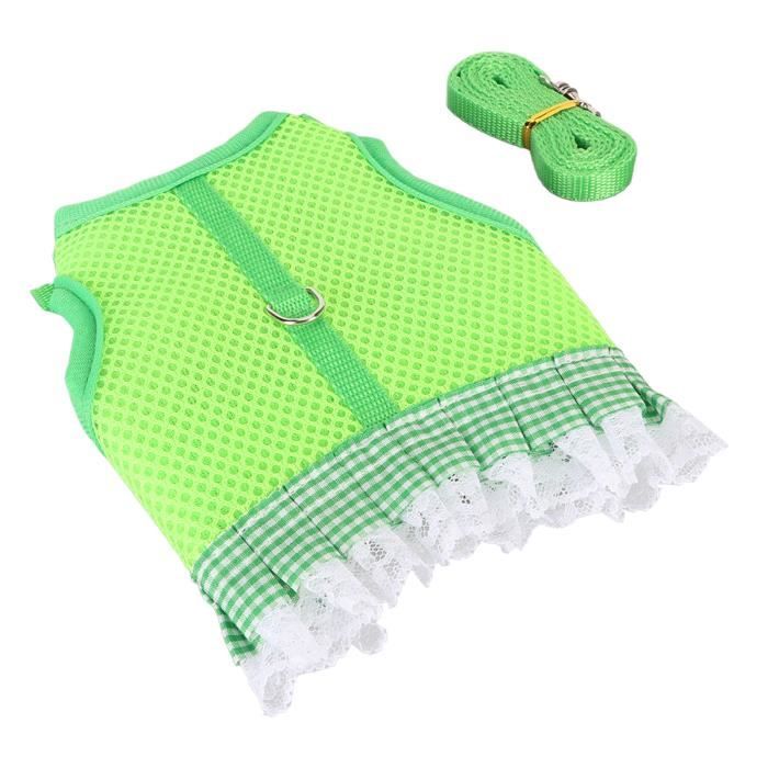 Harnais Et Laisse Pour Furet – Harnais Réglable En Coton Doux Avec Clochette De Sécurité, Gilet Rembourré