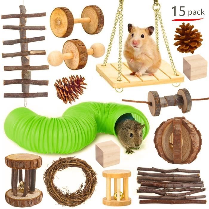jouet hamster, ensemble de molaires de jeu pour hamster en bois de 15 pièces