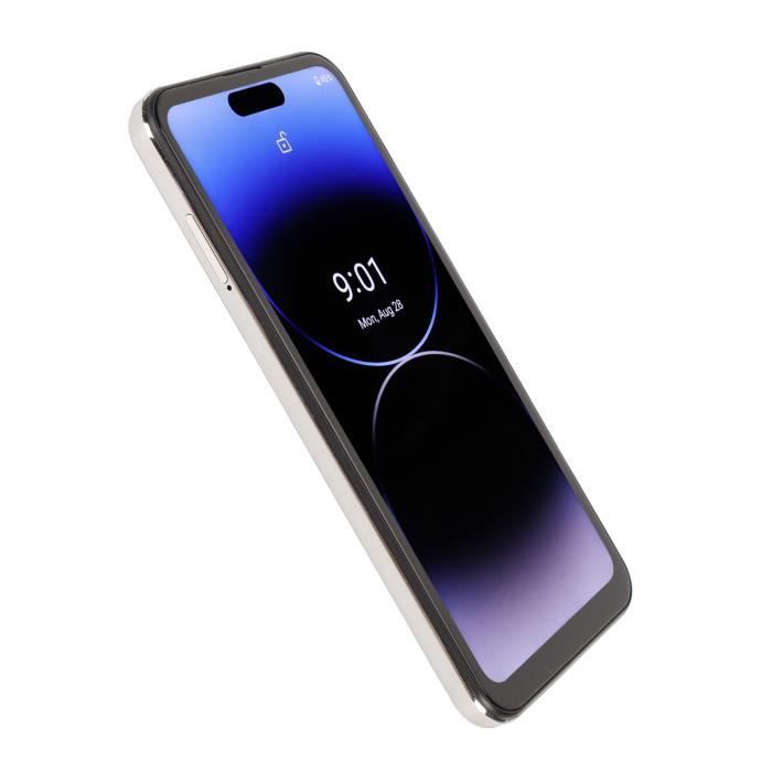 CROSSCALL Core-S5 – Téléphone Mobile 4G Débloqué – Écran 2,4 Pouces – Noir – Neuf