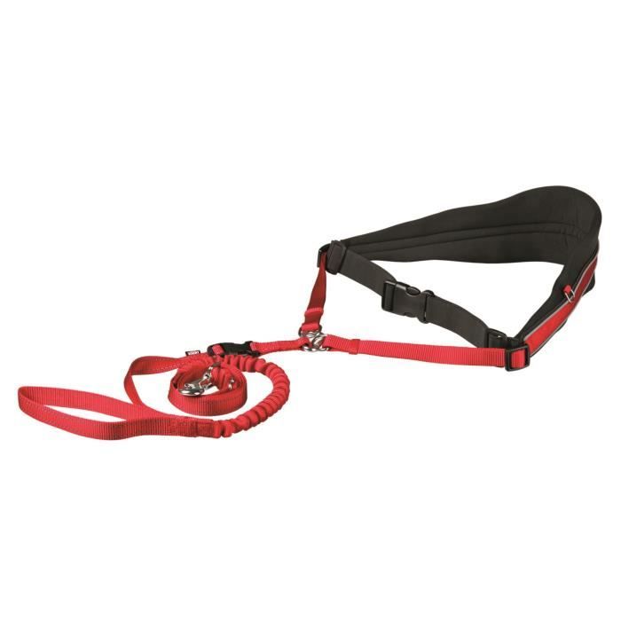 Ceinture ventrale avec laisse amortie pour chien discount