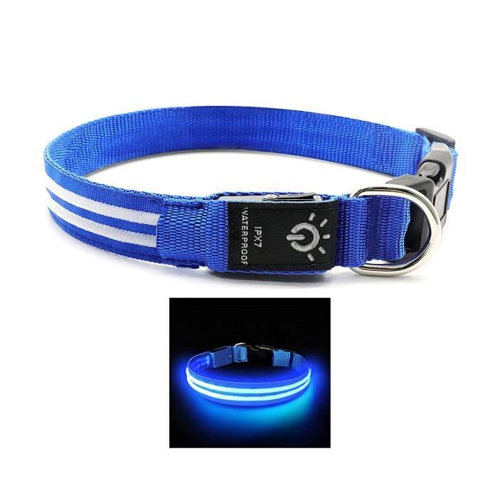 collier pour chien led sécurité collier lumineux rechargeable usb 250mah ajustable 55cm bleu