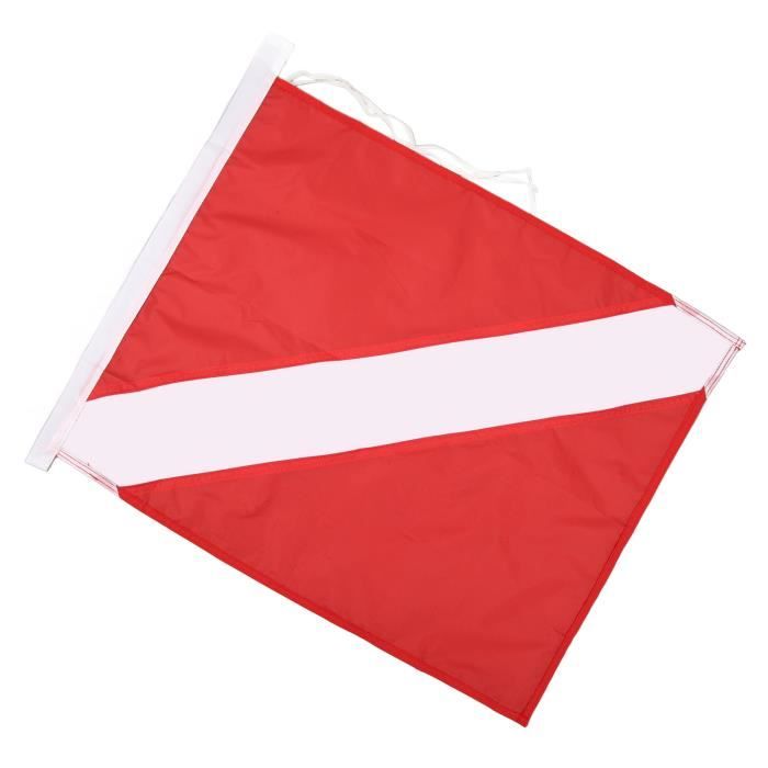 Affiche De Plongée Sous-marine Design Plat | Vecteur Gratuite