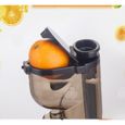INN® Séparation de jus de laitier ménager de presse-agrumes, machine à jus de friture automatique, légume multifonction-1