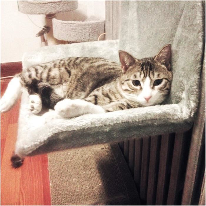 Lit pour chat à suspendre au radiateur confortable