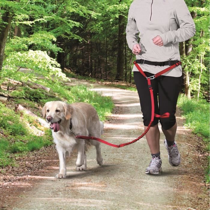 TRIXIE Ceinture ventrale avec laisse M L Rouge Pour chien Cdiscount