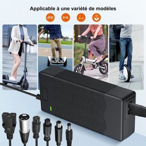 Pour Kalkhoff Pro Relier X24, Vélo Électrique Chargeur Rapide 36V 4A 4053846429456