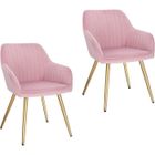 BRAND 2x Chaises de Salle à Manger avec Dossier et Accoudoir, Chaise de Cuisine en Velours, Fauteuil Scandinave, Rose 1024BY-2