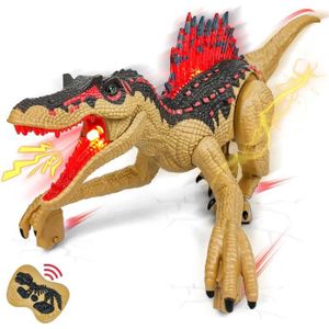 NEXBOX Jouet Dinosaure télécommandé pour Enfants - RC Dino électrique avec  Son et lumière, Marche, rugit, Twist, Cadeau d'anniversaire 3 4 5 6 7 8-12  Ans garçons et Filles : : Jeux et Jouets