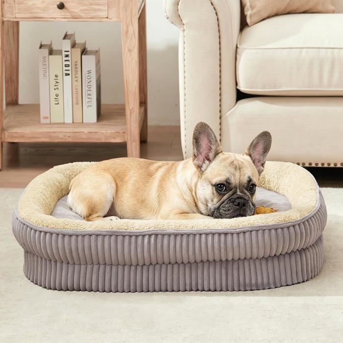 Canapé orthopédique chien mousse haute densité housse amovible lavable base antidérapante gris petites et moyennes tailles