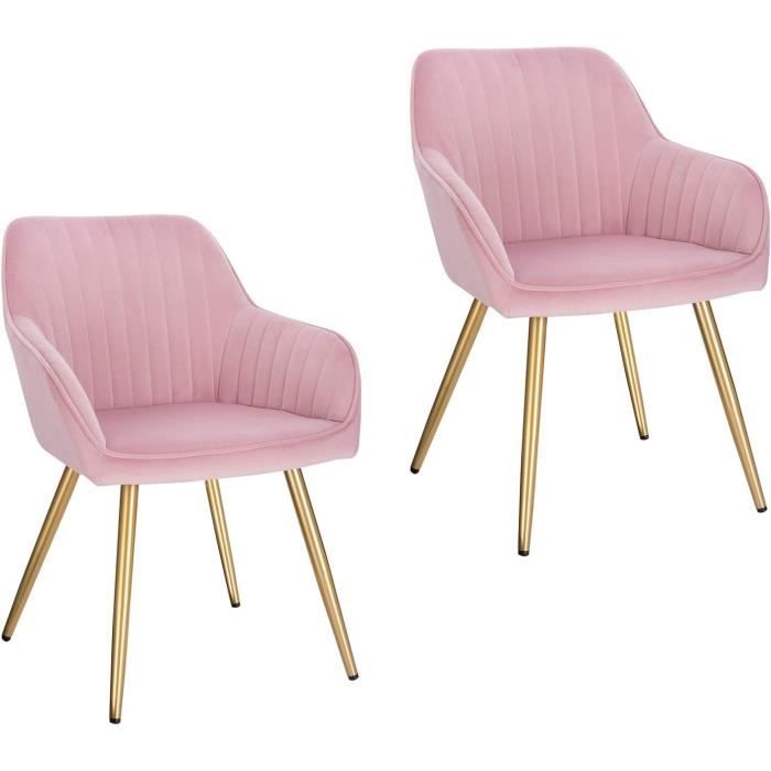 2x Chaises de Salle à Manger avec Dossier et Accoudoir Chaise de Cuisine en Velours Fauteuil Scandinave Rose 1024BY-2